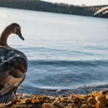 LÖvsta Återvinnings Central! Dryck