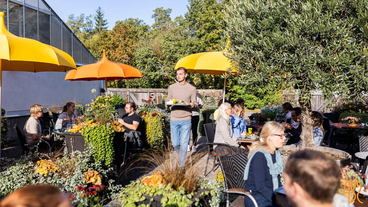 Ulriksdahls TrÄdgÅrd Cafe Utomhus