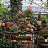 Slottsträdgården Ulriksdal Ab Utomhus