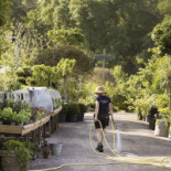 Slottsträdgården Ulriksdal Ab Utomhus