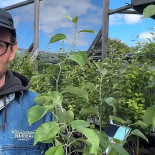 Slottsträdgården Ulriksdal Ab Utomhus