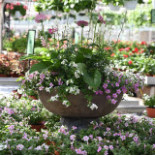 Slottsträdgården Ulriksdal Ab Utomhus