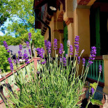 Café Parkvillan Utomhus