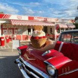 Slagsta Glass Utomhus