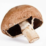 Restaurang Sjoekanten Mat