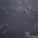 Utters Rökeri Utomhus