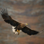 Utters Rökeri Dryck