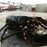 Åstols Rökeri Dryck