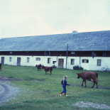 Stora Gåsemora Gård Utomhus