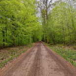 Restaurang Solbacken Utomhus