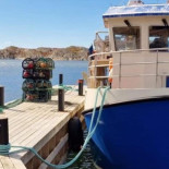 Restaurang Bryggvingen Utomhus