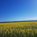 Ödeshögs Festvåning Utomhus