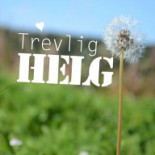 Nora Pizzeria 47:an Dryck