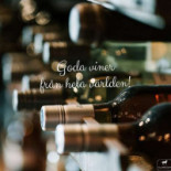 The White Horse Dryck