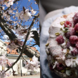 Gaelloefsta Hotell Dryck