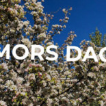 Seaside Björkö Utomhus