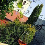 La Locandiera Ristorante Winebar Utomhus