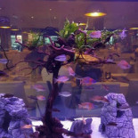 Basilika Kitchen Utomhus