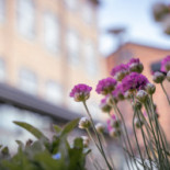 NÄÄs Fabriker Dryck