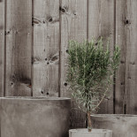 Grafitgrå Industri Dryck