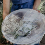 Grafitgrå Industri Dryck