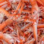 Gullmarsstrand Hotell Konferens Mat