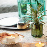 Strandflickornas Havshotell Dryck