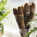 Strandflickornas Havshotell Dryck