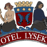Däcket Logotyp
