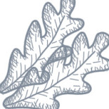 Viking Pizzeria Dryck