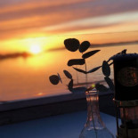 Norra Hamnen 5 Dryck