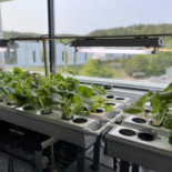 Fridarestaurangen TrollhÄttan Utomhus