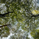 Fridarestaurangen TrollhÄttan Utomhus