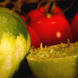 Kalaskoket Fasetten Dryck