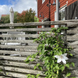 Skäve Utomhus