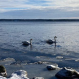 Bistro Gålö Havsbad Utomhus