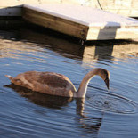 Bistro Solsidan, DalarÖ Utomhus