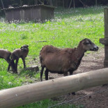 Taco Mölndal Ab Utomhus