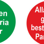 Pizzeria Felino Logotyp