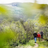 Panorama Cafe Utomhus