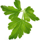 Take It Thai Sushida Dryck