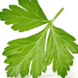 Take It Thai Sushida Dryck