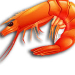 Prik Thai Take Away Logotyp