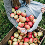Värmdö Bryggeri Dryck
