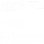 Superbowl Nykoeping Logotyp