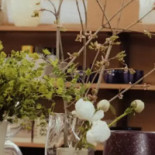 Hellmanska Gårdens Café Inomhus