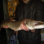 Farbror BlÅ Matsal, Sigtuna Dryck