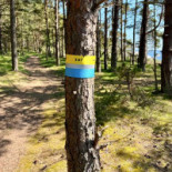 Nåttarö Krog Utomhus