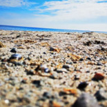 Nåttarö Krog Dryck