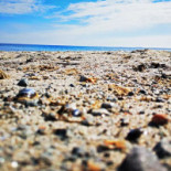 Nattaro Krog Utomhus